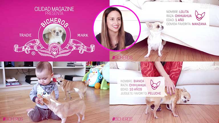 Lourdes Sánchez presentó a Lolita y Bianca, sus chihuahuas.