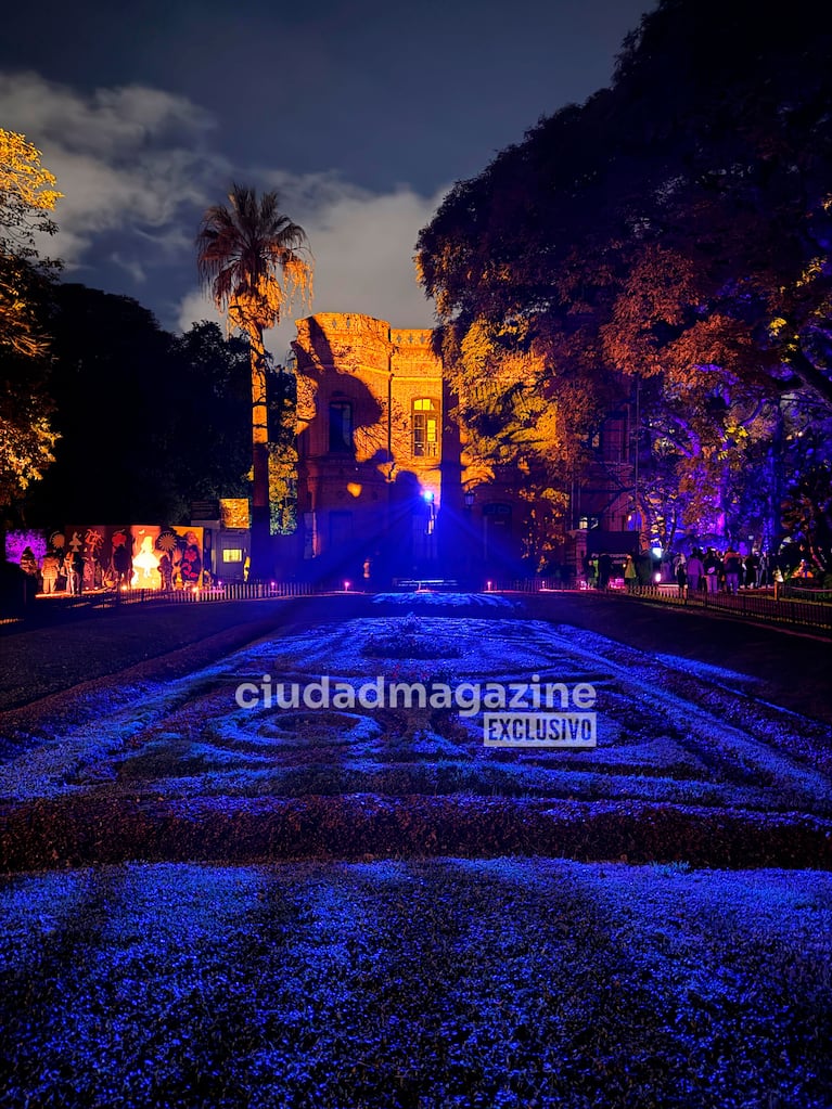 Maravillosa Alicia (Foto: Ciudad Magazine).