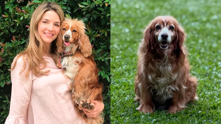 Marcela Kloosterboer despidió con dolor a su perra y conmovió a todos con su mensaje (foto de Instagram)
