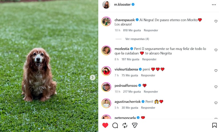 Marcela Kloosterboer despidió con dolor a su perra y conmovió a todos con su mensaje (foto de Instagram)