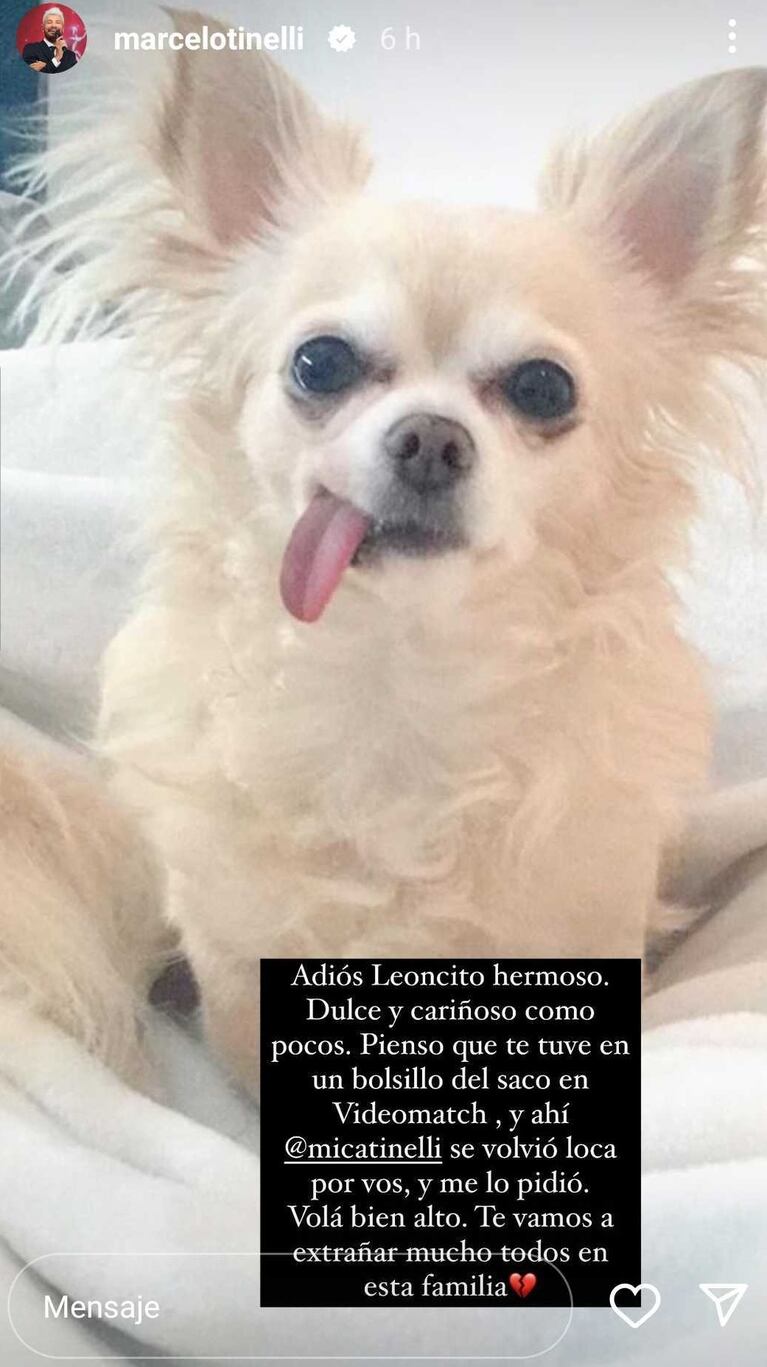 Marcelo Tinelli despidió a León, el perrito de su hija Micaela. (Foto: instagram/marcelotinelli)