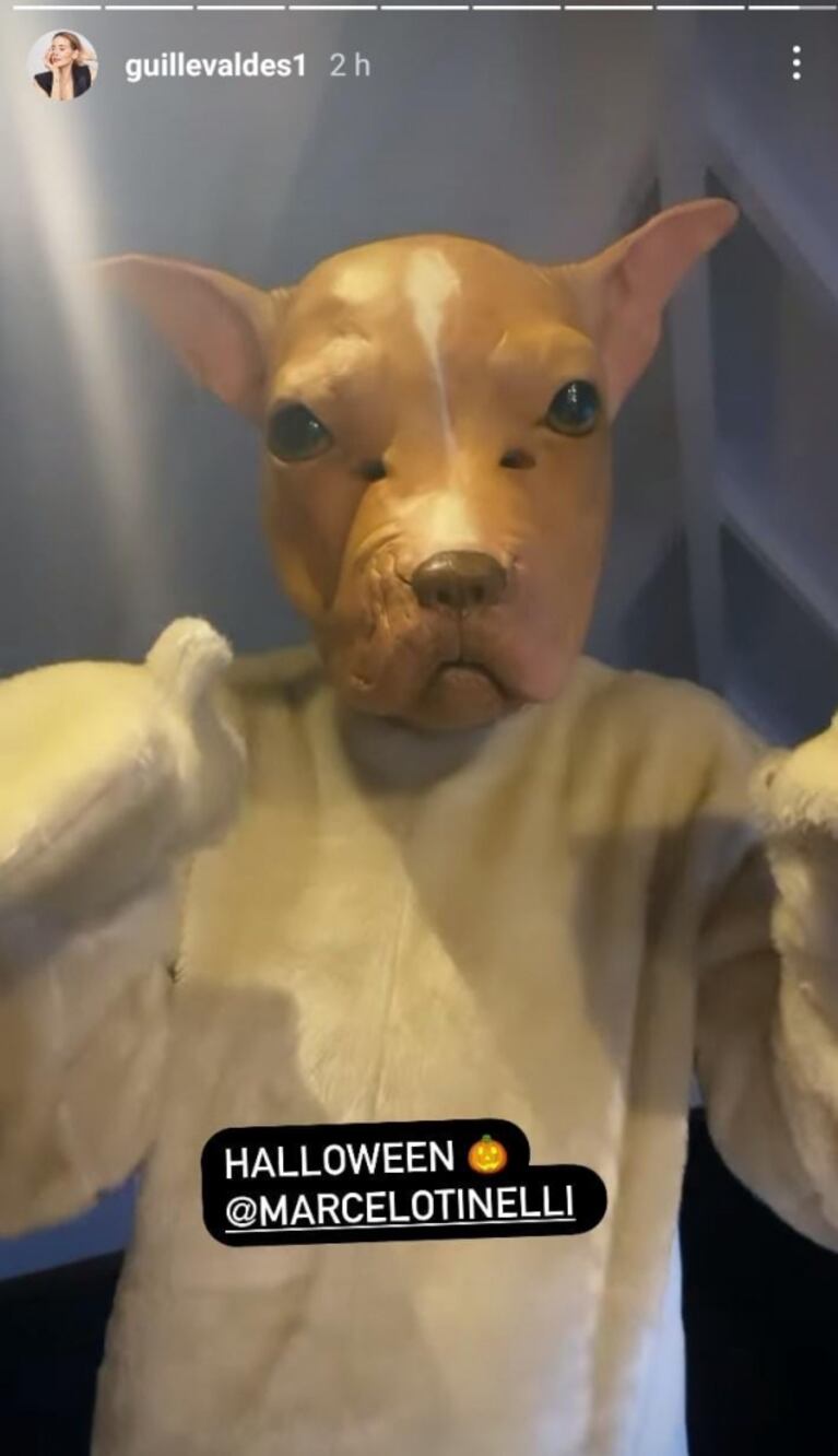 Marcelo Tinelli lució un disfraz súper original y especial: apareció en redes como su perrita adoptada