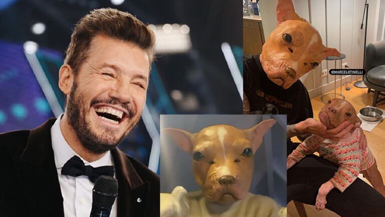 Marcelo Tinelli lució un disfraz súper original y especial: se lookeó como su perrita adoptada.