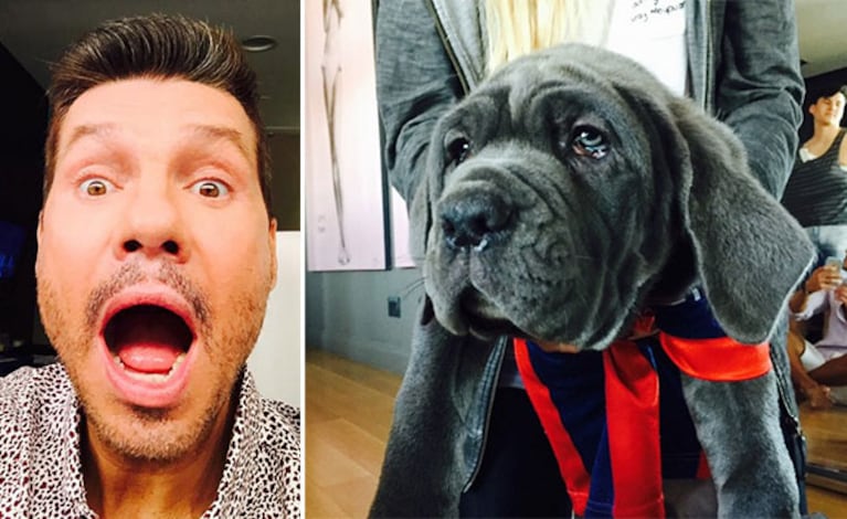 Marcelo Tinelli presentó a Horacio, su nueva mascota. (Foto: Instagram)