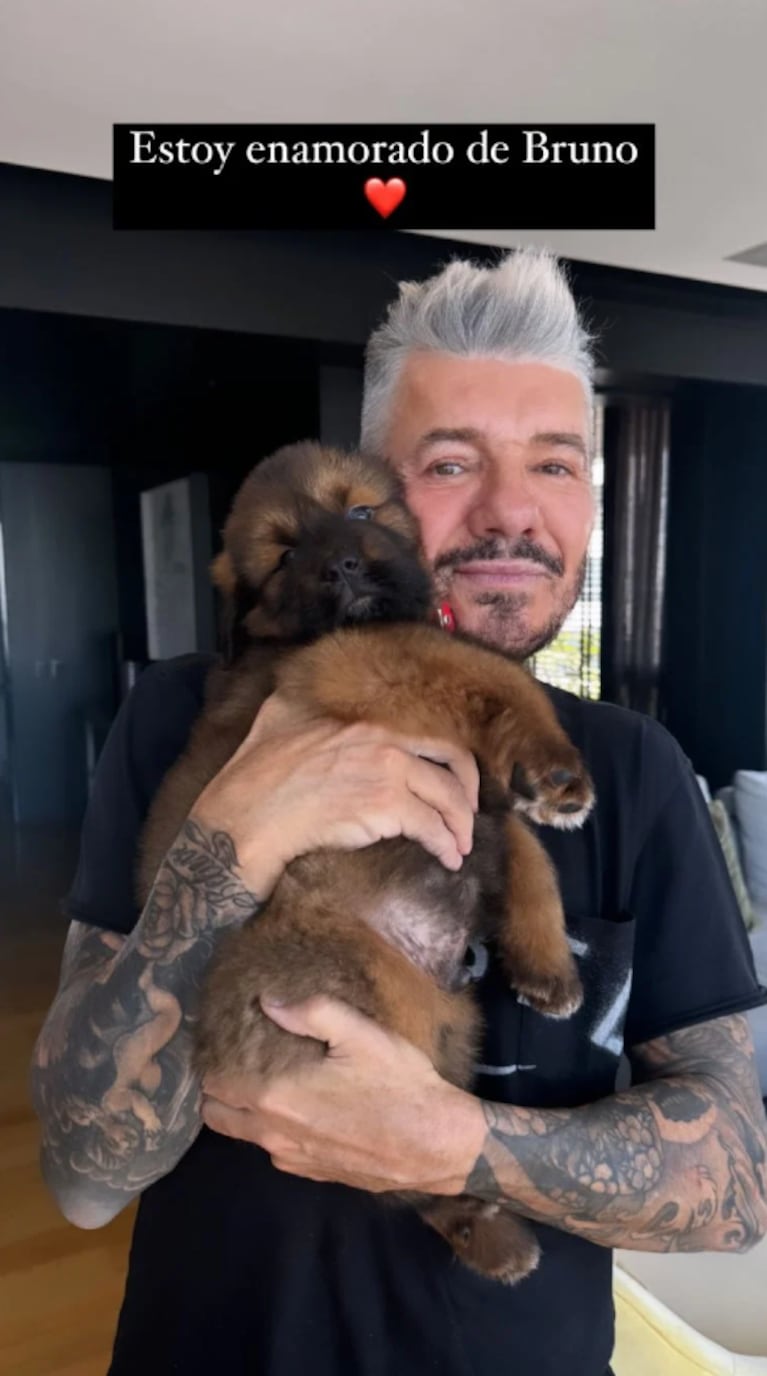 Marcelo Tinelli se muestra con otras mascotas, pero recibe un reclamo: ¿dónde está su perro Bruno? | Créditos: Instagram @marcelotinelli