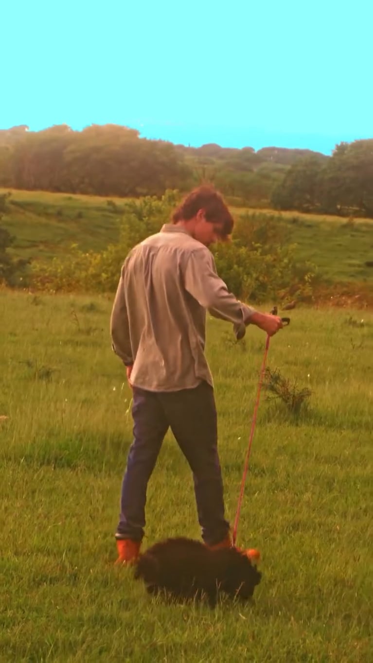 Marcos Ginocchio mostró cómo está Mora, la perrita que adoptó en Gran Hermano 2022 (Foto: Instagram)