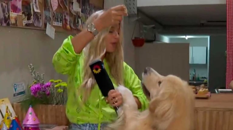 Marina Señuk vivió un momento álgido con perros en una panadería para mascotas (Foto: captura eltrece)