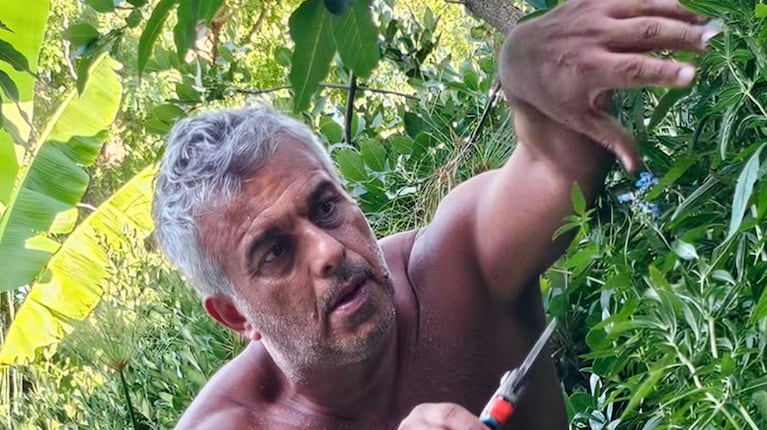Mario mostró cómo es su jardín. Foto: IG | mariomassaccesi1