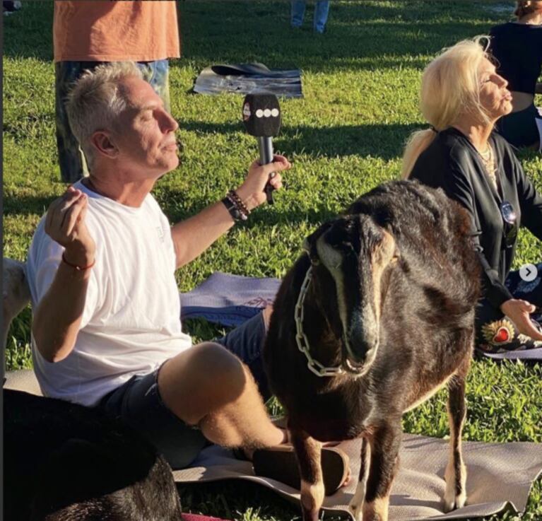 Marley y Susana Giménez practicaron yoga con cabras en Miami: "Se relajan con nosotros"