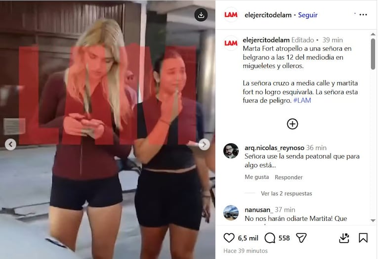 Martita Fort atropelló a una mujer de 89 años en el barrio de Belgrano este sábado (Foto: captura Instagram/@elejercitodelam).