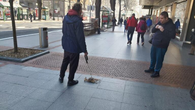 Mascota inusual.