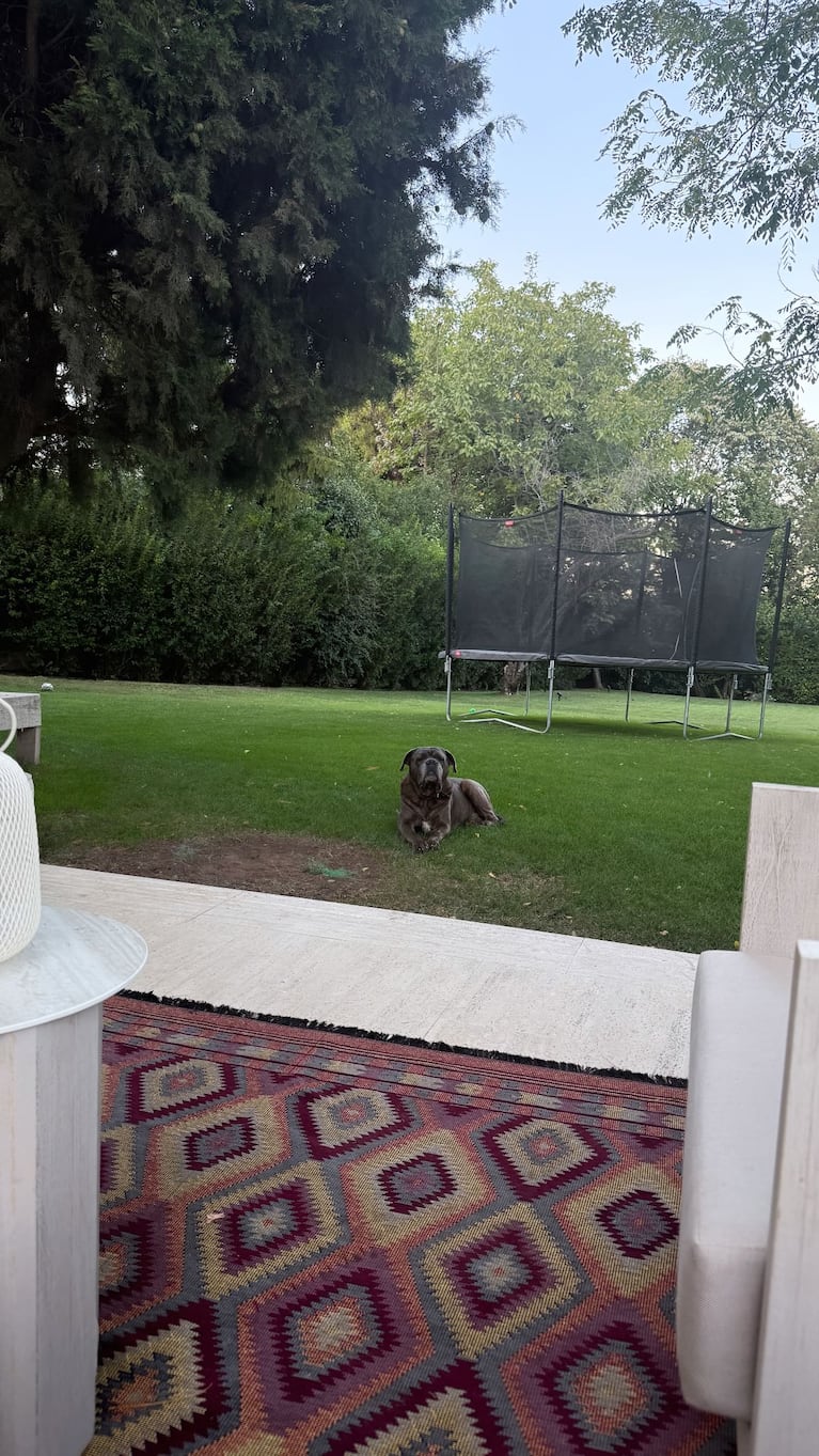 Mauro Icardi mostró el jardín de su mega mansión con la China Suárez en Turquía: cama elástica y mucho verde | Créditos: Instagram @mauroicardi