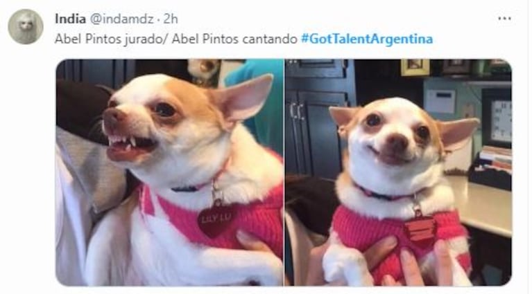 Memes de Got Talent Argentina (Fotos: Twitter)