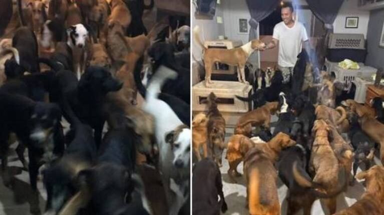 México: hombre refugia a más de 300 animales por el huracán Delta