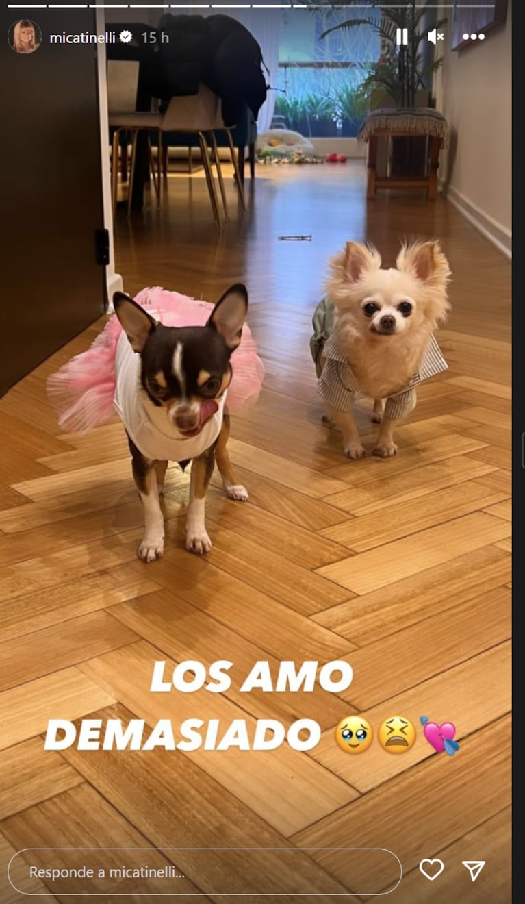 Micaela Tinelli le festejó el cumpleaños a su perra: torta para mascotas y outfit canino estilo barbiecore