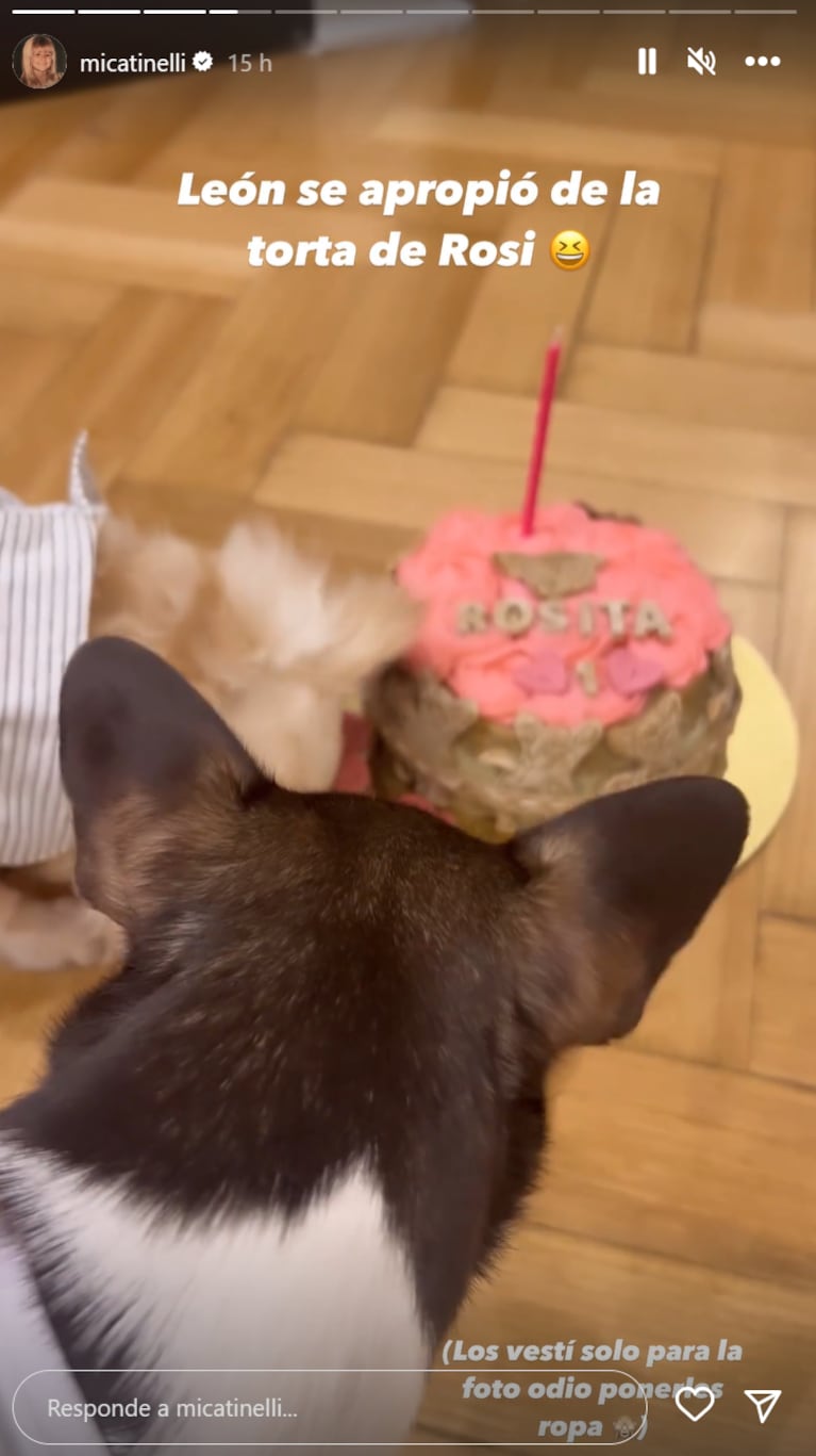 Micaela Tinelli le festejó el cumpleaños a su perra: torta para mascotas y outfit canino estilo barbiecore