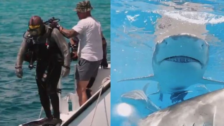 Mike Tyson atrapa a un tiburón con sus propias manos