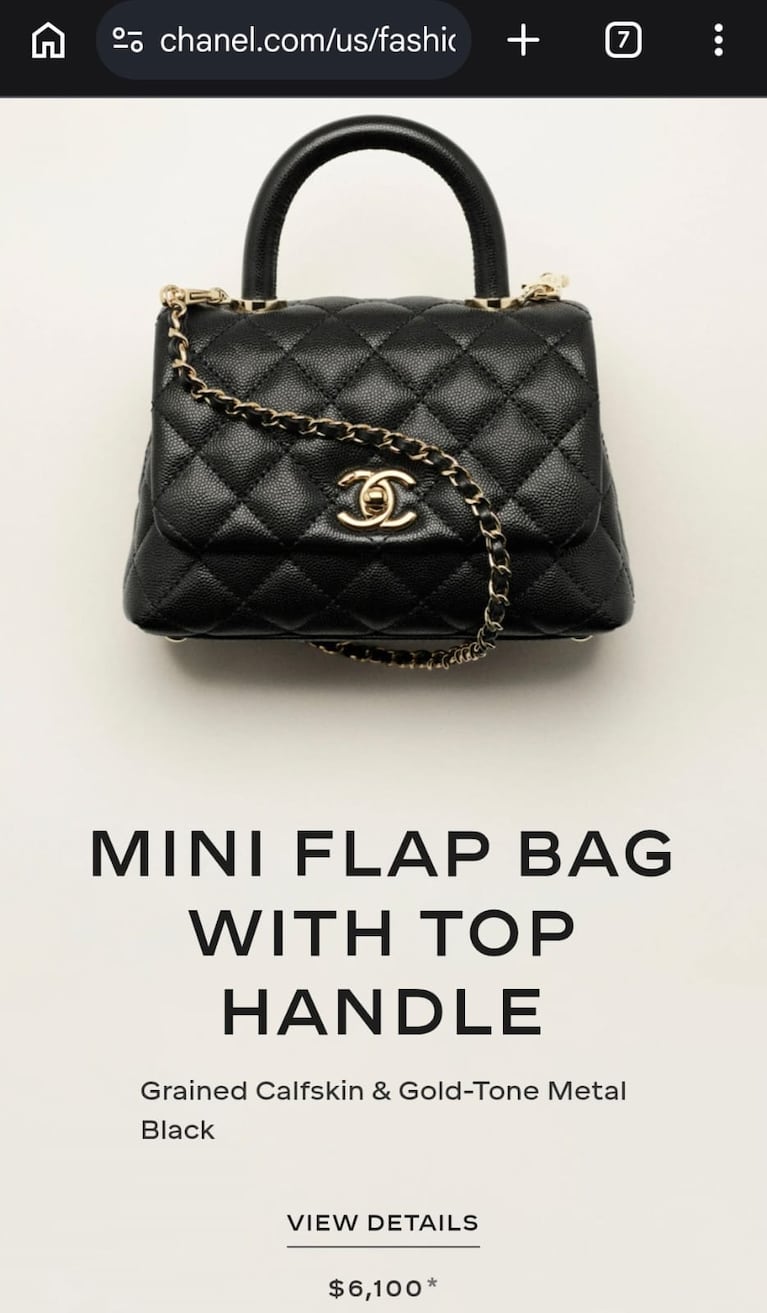 Mini Flap Bag with-Top Handle (Foto: Chanel.com)