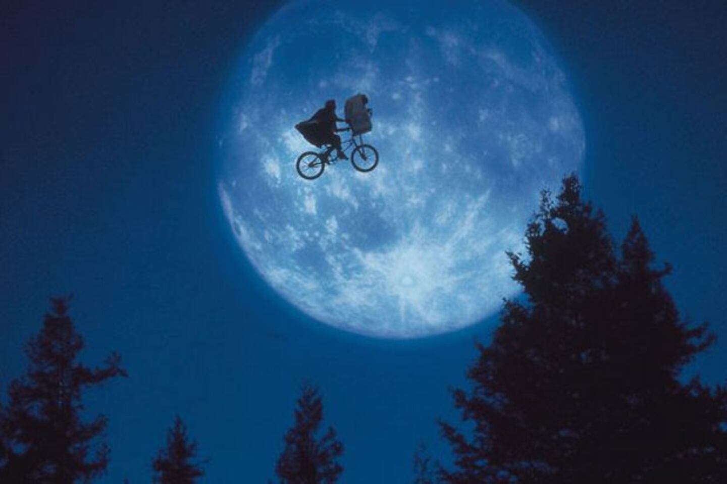 ¡Mirá cómo está hoy el Elliott, el niño de E.T.! (Foto: Web)