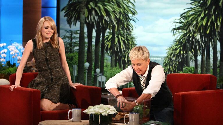 Mirá cuáles son las fobias y curiosidades en la vida de Emma Stone