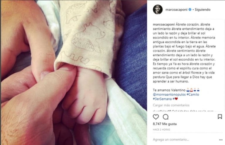 Mónica Antonópulos y Marco Antonio Caponi ya son papás: el tierno anuncio del nacimiento de Valentino