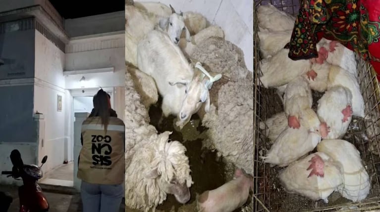 Morena Rial volvió a quedar envuelta en una polémica tras el allanamiento al templo umbanda donde se bautizó. Crédito: Instagram