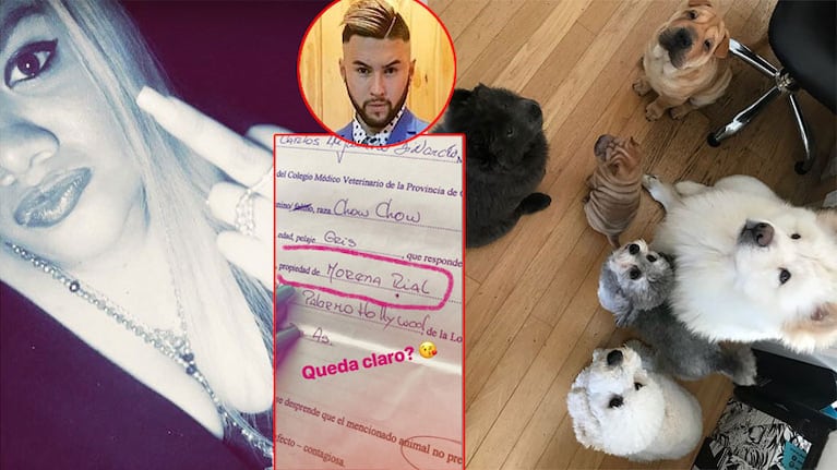 Morena Rial y Martín Casar, en guerra por los perros. Foto: Instagram