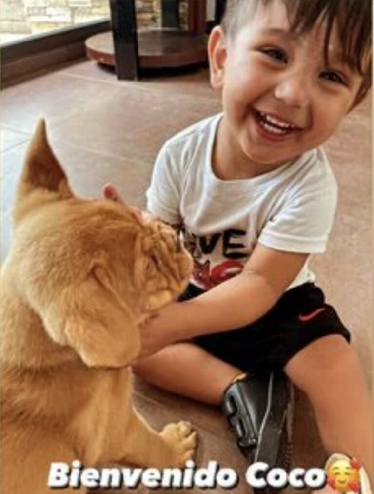 Morena Rial y su hijo le dieron la bienvenida a Coco, el nuevo integrante de su familia: "Fran te ama"