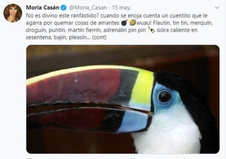 Moria Casán calificó a Yanina Latorre de "tucán con gripe" y le dedicó irónicos tweets: "¿No es divino este ranfástido?"