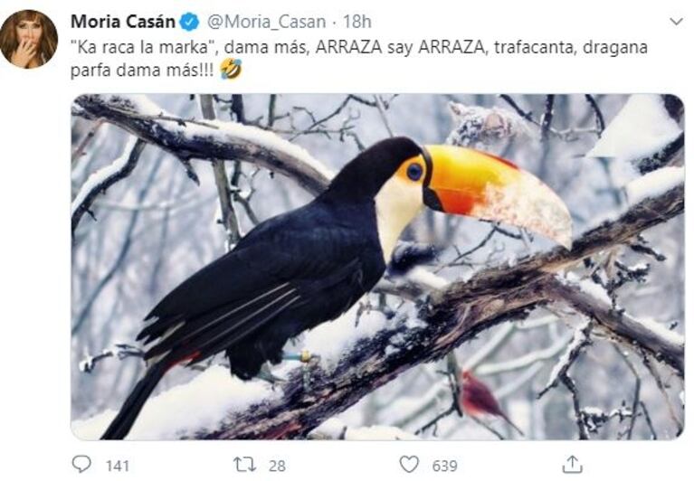 Moria Casán calificó a Yanina Latorre de "tucán con gripe" y le dedicó irónicos tweets: "¿No es divino este ranfástido?"