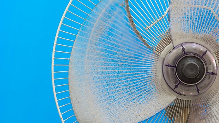 Muchos ventiladores se ensuncian luego de un tiempo si usarlos. Foto: Freepik