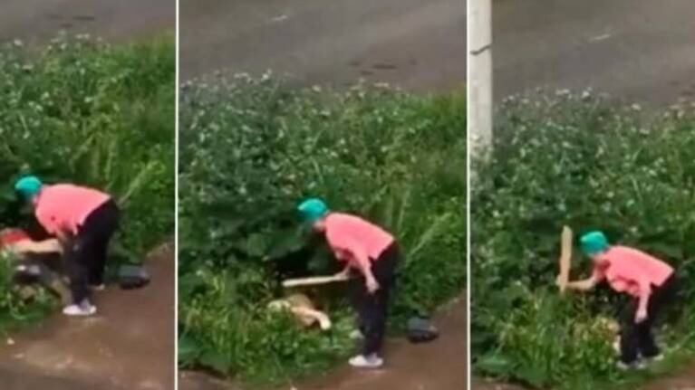 Mujer atacó con un palo a una pareja que estaba teniendo sexo en la calle