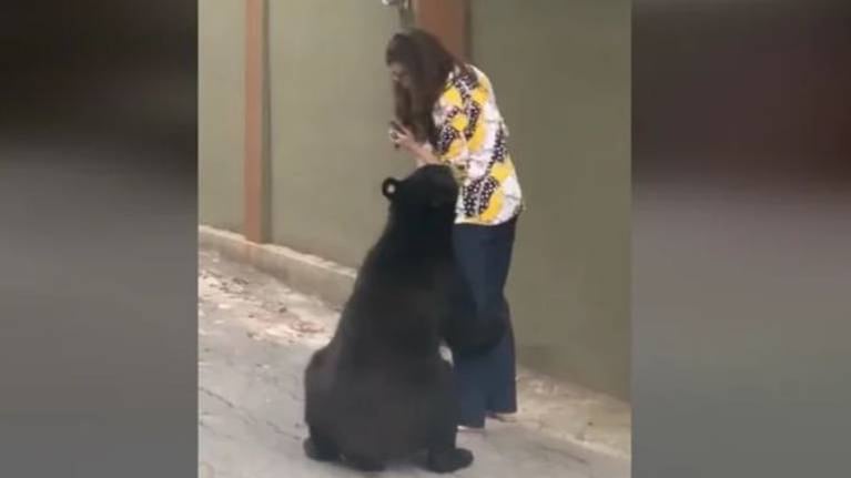 Mujer tiene encuentro con oso en plena zona residencial