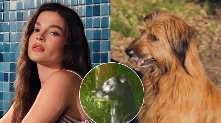 Muna Pauls despidió a su perra Gaia a pocos días del adiós a Groucho (Fotos: Instagram @munapaulscherri y @agustinacherriok)