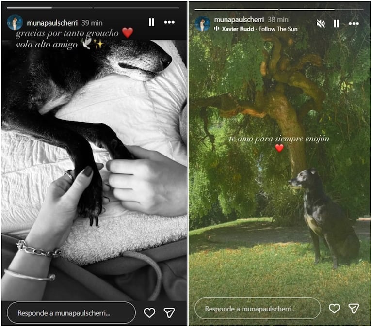 Muna Pauls despidió a su perro Groucho con un mensaje que conmovió en redes. Crédito: Instagram