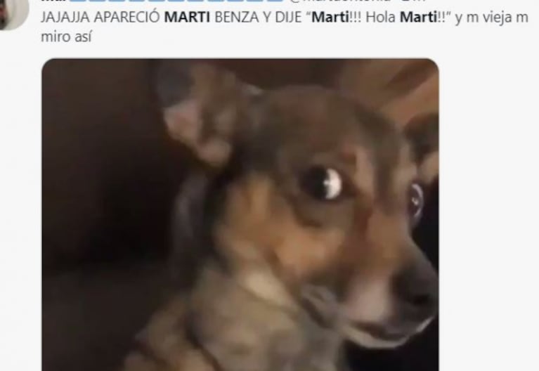 Mundial Qatar 2022: el video viral de la youtuber Marti Benza en pleno partido de Argentina y Polonia que revolucionó las redes