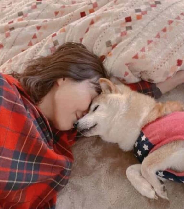Murió Kabosu, la perrita que se convirtió en meme e inspiró la creación de una criptomoneda