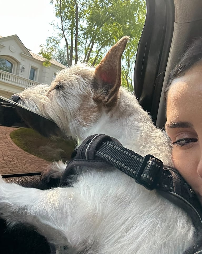 Murió la perrita de Cande Tinelli (foto de Instagram)