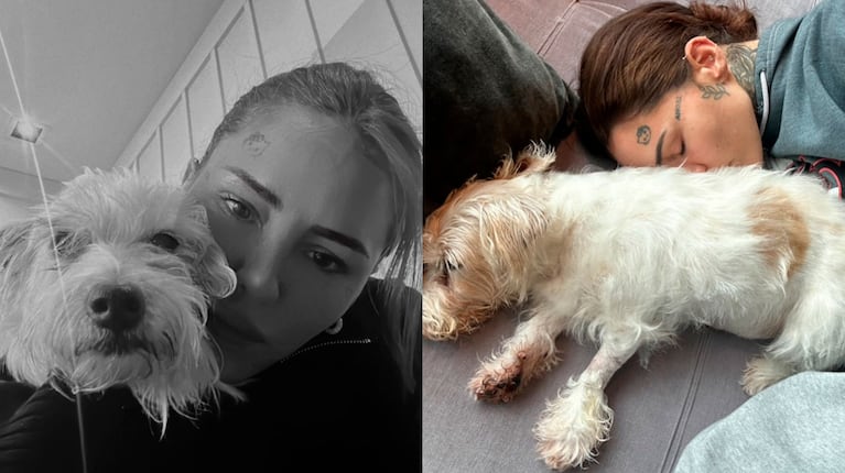 Murió Linda, la perrita de Cande Tinelli tras 14 años juntas