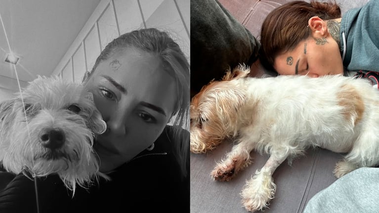 Murió Linda, la perrita de Cande Tinelli tras 14 años juntas