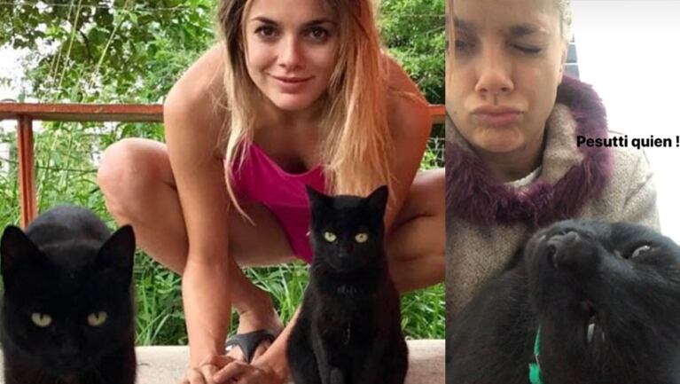 Natalie defiende a sus gatos con uñas y dientes.