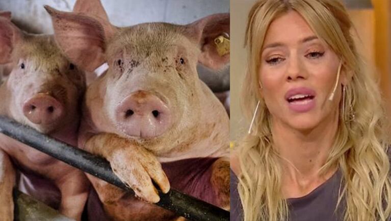 Nicole incentivó a sus seguidores a que dejen de comer carne animal.