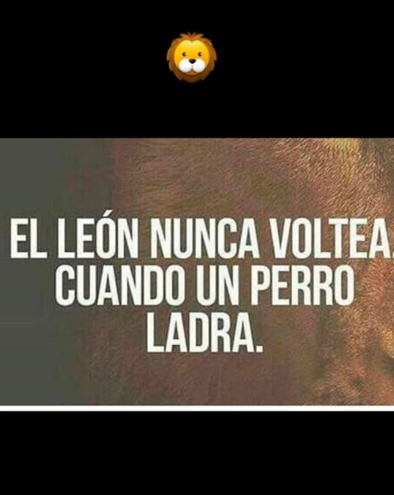 Nicole Neumann, destape súper sexy ¿y palito a Fabián Cubero?: "El león nunca voltea cuando un perro ladra"