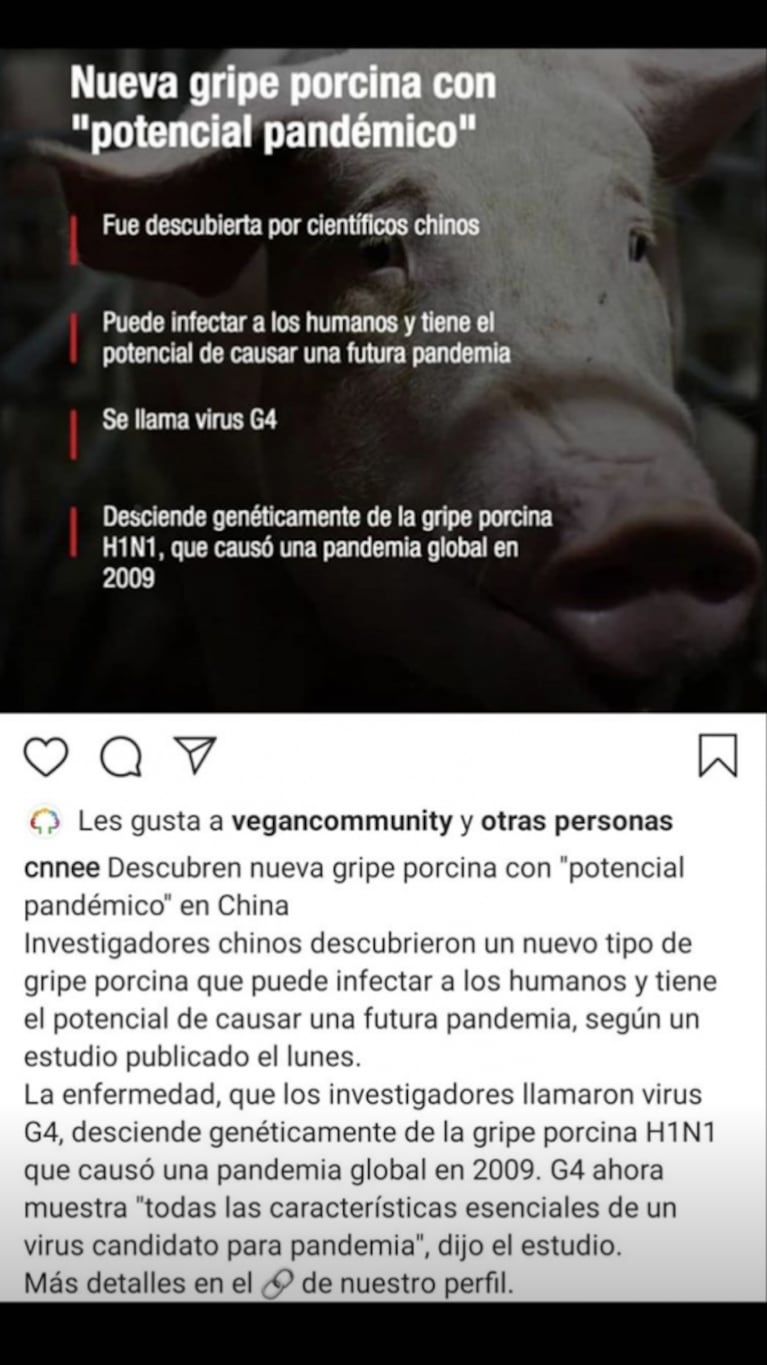 Nicole Neumann reivindicó el veganismo, tras un nuevo virus en cerdos: "¿Querés un mundo con miles de muertes?"