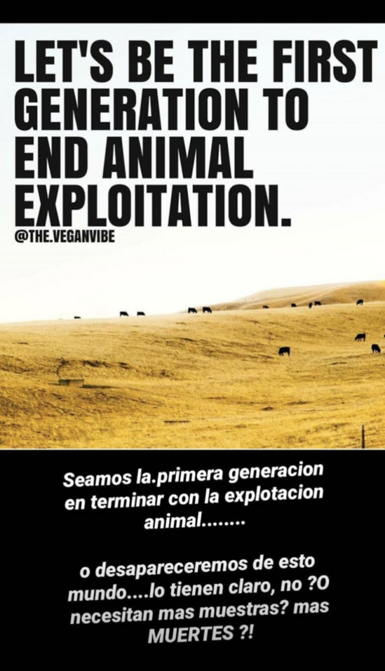 Nicole Neumann reivindicó el veganismo, tras un nuevo virus en cerdos: "¿Querés un mundo con miles de muertes?"