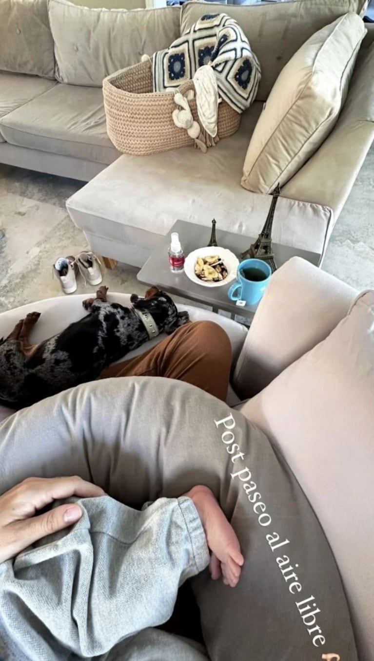 Nicole se mostró descansando con su hijo y con su perra.