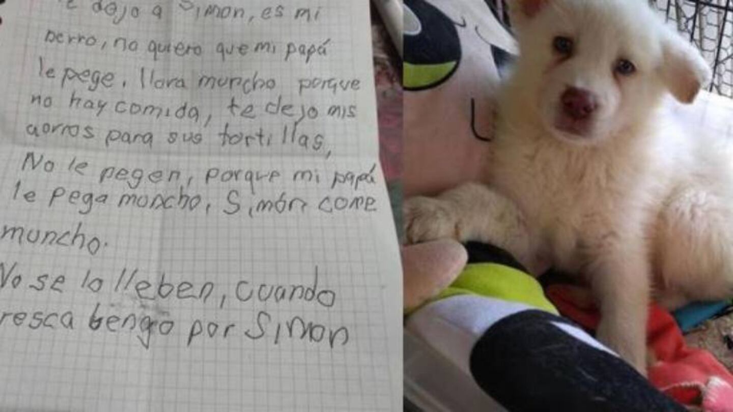 Niño aún le escribe cartas a Simón, el perrito que dejó en un refugio