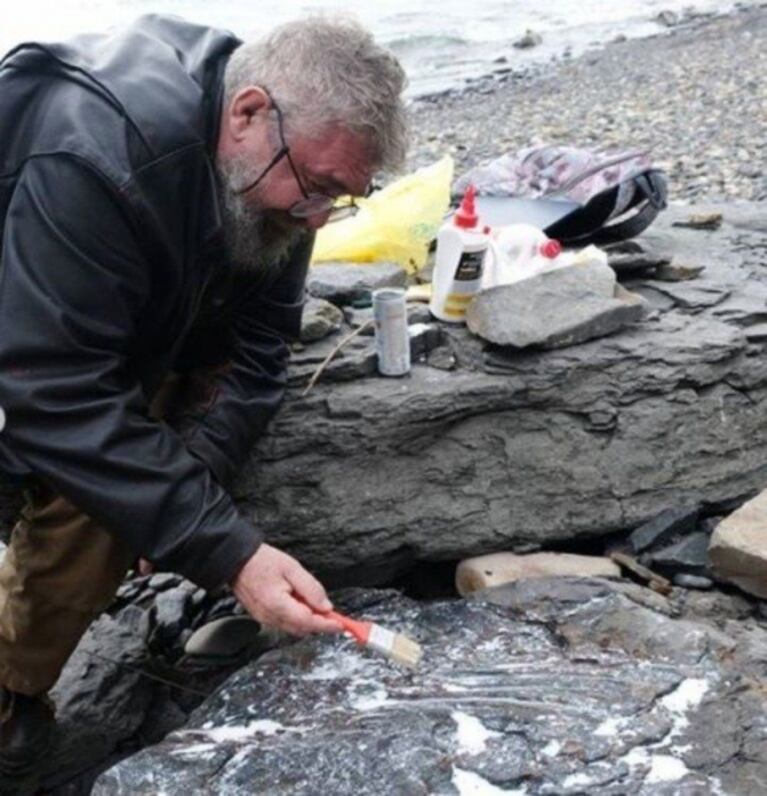 Niño juega con su hermana en la playa y descubre dinosaurio de 250 millones de años