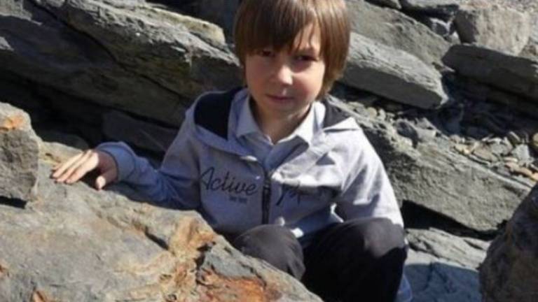 Niño juega con su hermana en la playa y descubre dinosaurio de 250 millones de años