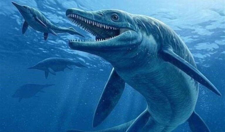 Niño juega con su hermana en la playa y descubre dinosaurio de 250 millones de años